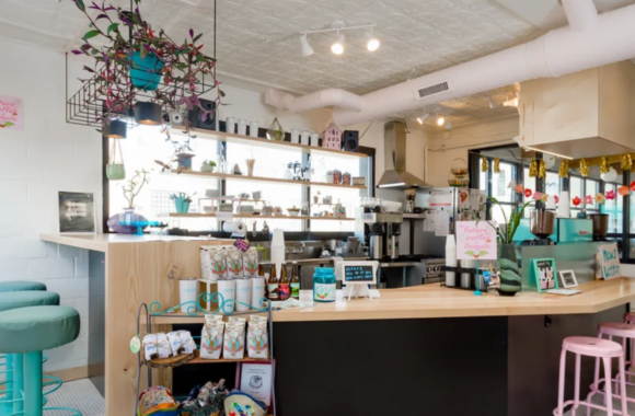 Bright and colorful interior of Drifter Coffee in Ferndale, Michigan featuring a cozy coffee bar with pastel stools, hanging plants, shelves of coffee goods, and a modern café counter serving specialty drinks.