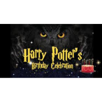 Harry Potter Birthday Celebration Lake Orion at Canterbury Village