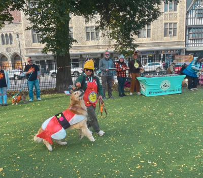 Howl-O-Ween event featuring a dog costume contest at a park, with a golden retriever dressed as sushi performing for the crowd, surrounded by spectators and Premier Pet Supply sponsors.