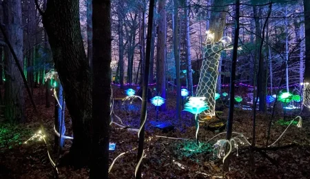 Enchanted Glenlore Trails 2025 – The Witching Hour features a glowing nighttime forest with illuminated trees, neon flowers, and mystical light displays creating a magical, otherworldly atmosphere.