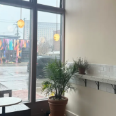 Interior of Alba Coffee Detroit with wood accents, espresso drinks, and minimalist seating